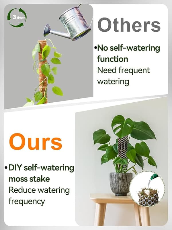 1 pc Plastic Moss Monstera Support Net Kit Max 5 pcs 61 cm (24 inch), DIY