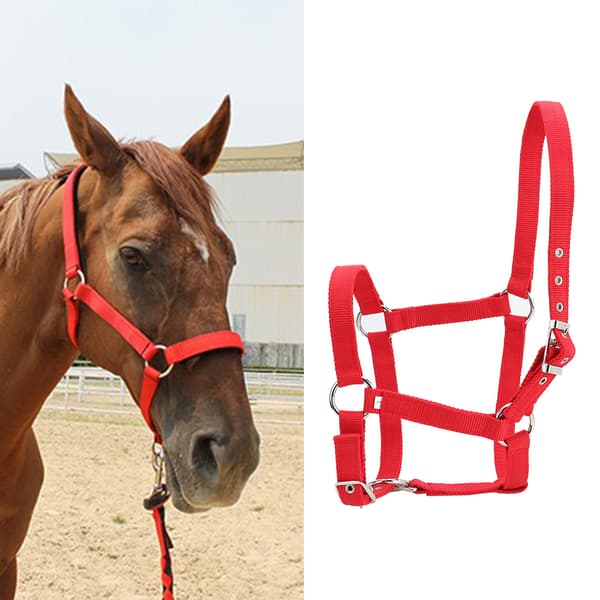 Red 6mm Thickened High-Density Webbing Horse Bridle Control Halter Riding Accessories