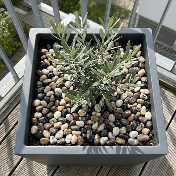 Dekorative blandede flodsten, 2 kg – natursten 20–40 mm