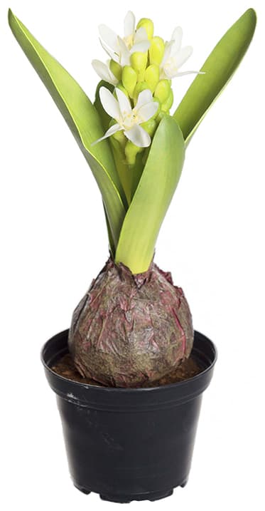 Hyacint Utslagen Konstgjord Blomma