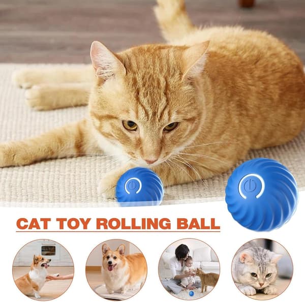 Self-rolling ball for dog, smart self-rolling ball with 2 modes long battery life, new electric intelligent teasing ball for cat with replaceable shell
