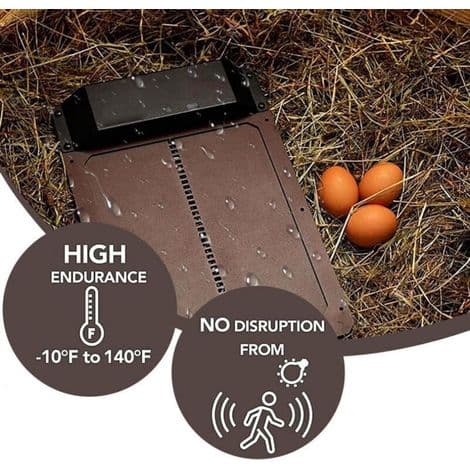 Automatisk hønsehusdør 35x24 cm ABS IPX4 med motor og optisk sensor