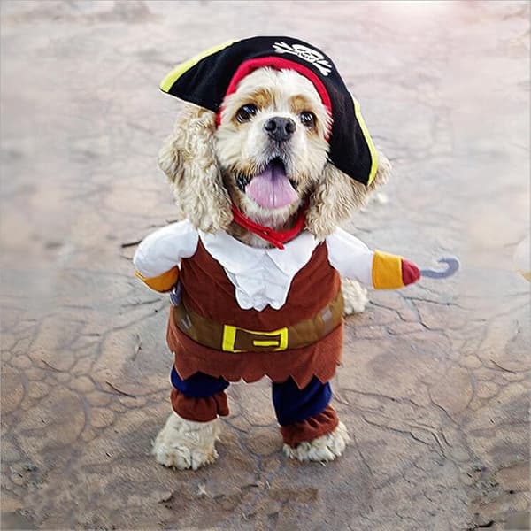 Husdjursdräkt Hund Katt Pirat Halloween Kostym Polyester