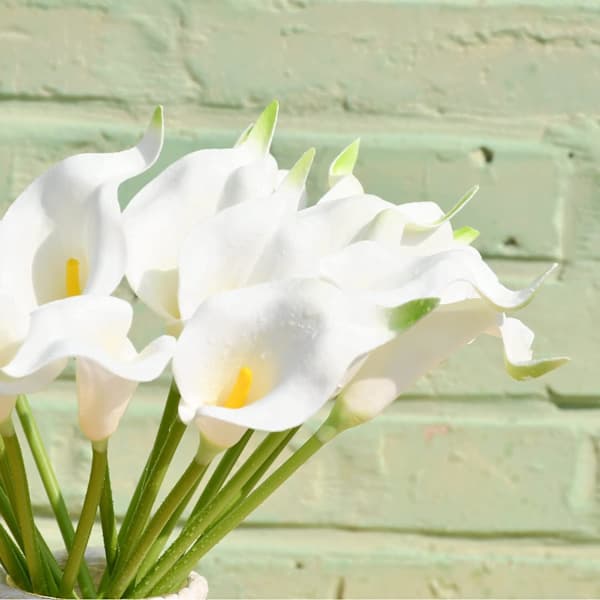 20 stilker kunstige rene Calla Liljer Silkeblomster for Hjem Kjøkken