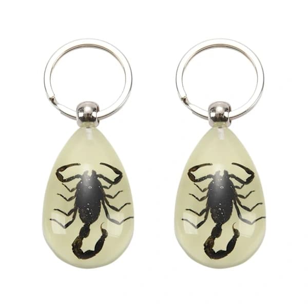2x Luminous Keychain with Real Insect (Black Scorpion)