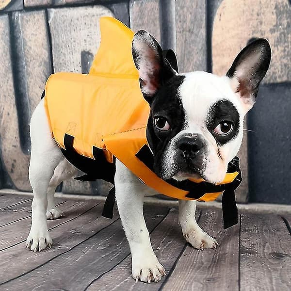 Hundebadevest Svømmevest orange S