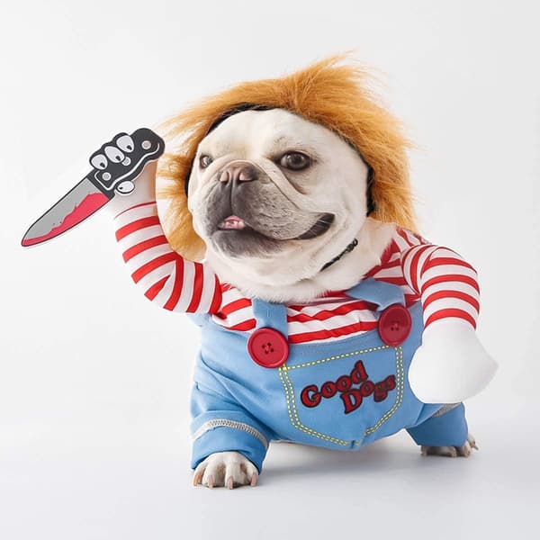 Justerbart Halloween-kostyme for hund som dukke