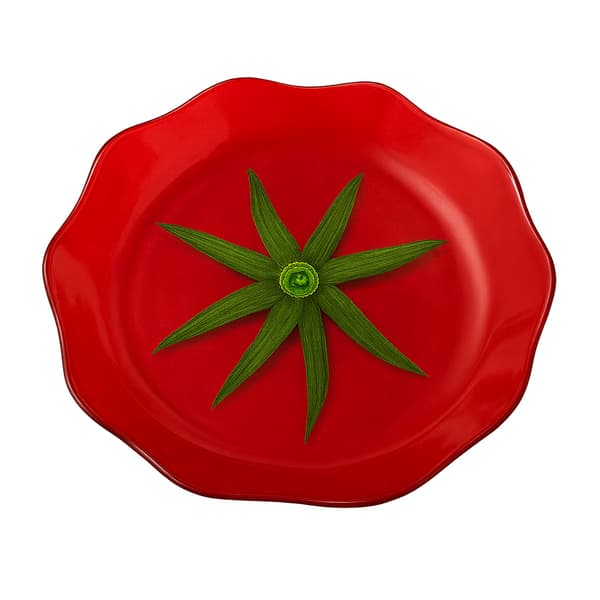 ARIA FRESH Tomatformet Glasskål 22x22x2 cm, Rød