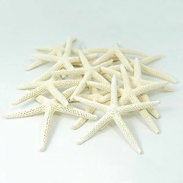 12 stk. hvide fingerstjerner 5-10 cm dekorative femfingrede søstjerner