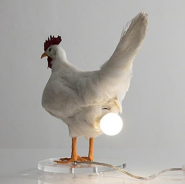 Taxidermi kyllingelampe, kyllingeæglampe, 3D kyllingebordslampe Kyllingehale Chicken tail