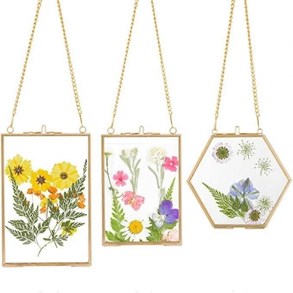 3-pack Pressed Flower Glass Frames - Hanging Glass Frames with Chain Floating DIY Artwork Display Golden Transparent
