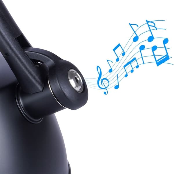 Vedenkeitin, musta ruostumaton teräs, automaattinen vihellys ja lämpömittari
