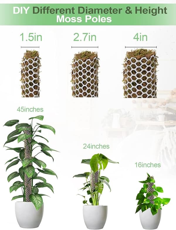 1 pc Plastic Moss Monstera Support Net Kit Max 5 pcs 61 cm (24 inch), DIY