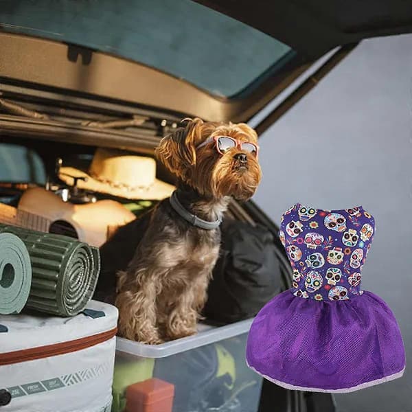 Halloween-kjole til kæledyr, blød og elastisk kostume til hunde og hvalpe