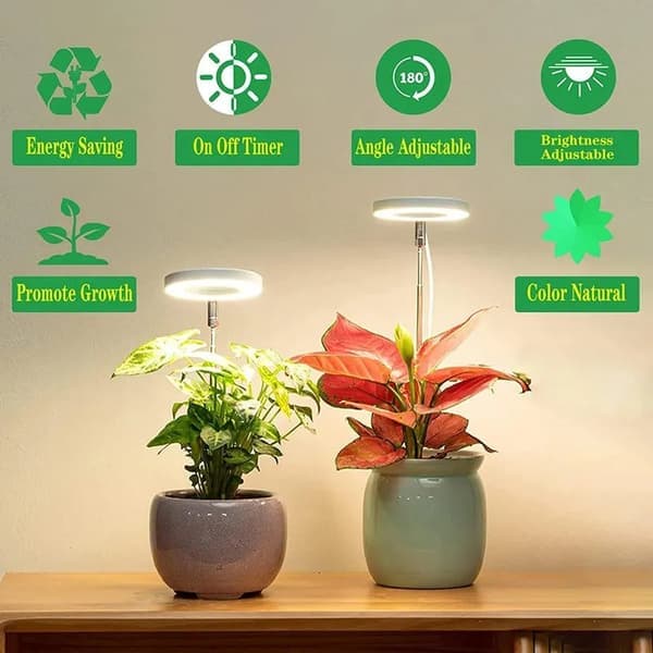 Plant lamp / plant lighting, adjustable height, Lamp for plants with on/off timer (2/4/8 hours) - suitable for small plants & indoor plants