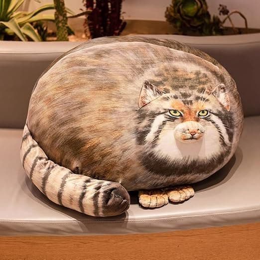 Manul Kudde, Tjock Katt