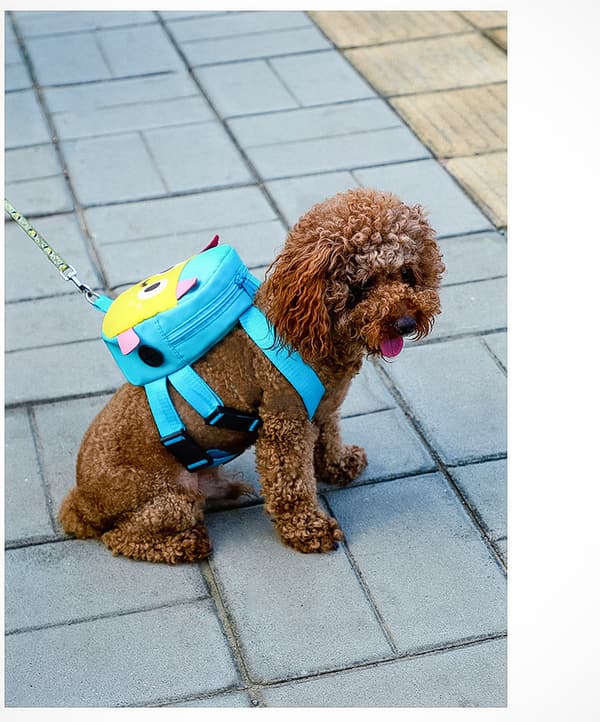Justerbar hundebag for små hunder