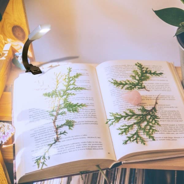 Book Reading Light, Rechargeable Reading Lamp for Reading in Bed