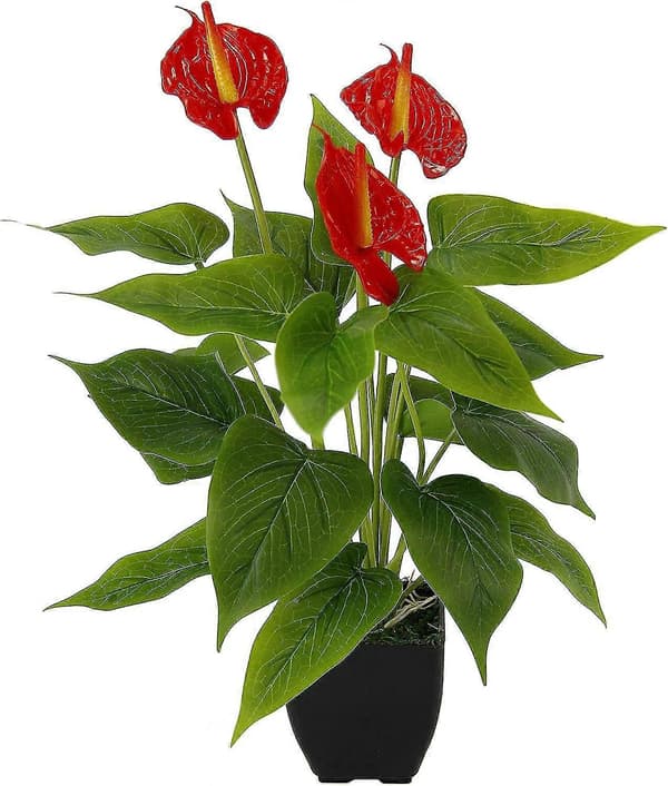 Kunstig Anthurium Flamingoblomst Rød 42x20x20 cm