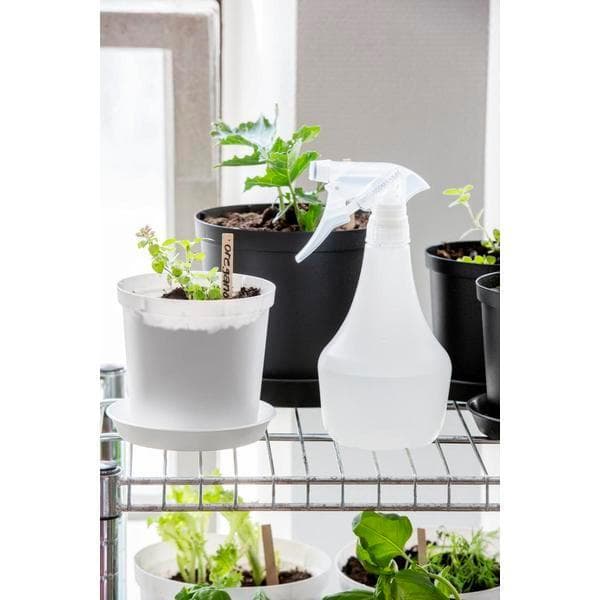 Suihkepullo Chaplin 0,5 L Orthex Transparent transparent
