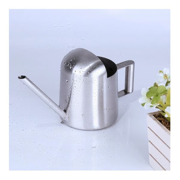 Vandkande i rustfrit stål, havekande, blomstervanding, vandkande, planter, kedel, 300 ml, sølv
