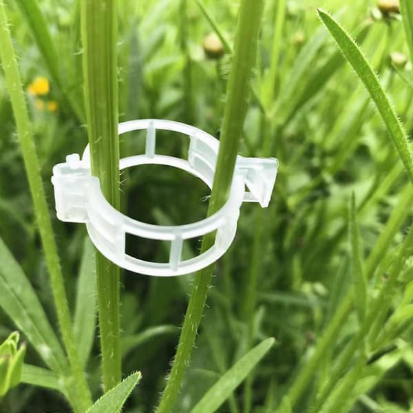 100-500 pcs 25mm Garden Plant Support Clips Tomato and Vegetable Trellis String US White White