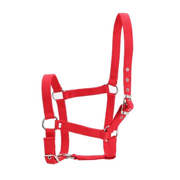 Red 6mm Thickened High-Density Webbing Horse Bridle Control Halter Riding Accessories