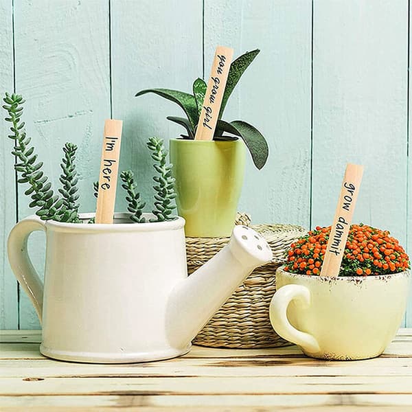50 stk 2x15cm bambu planteetiketter merkelapper for grønnsaksplanter med tusj