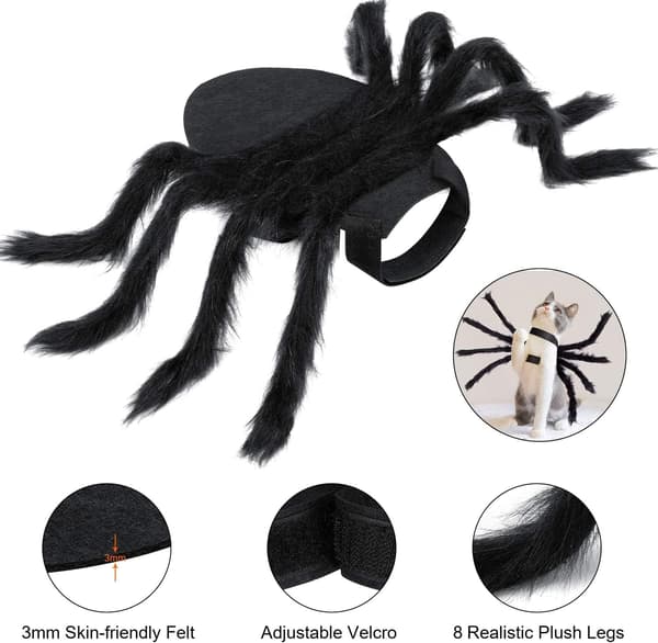 Halloween Edderkoppekostume til Hund Kat, Halloween Kattekostume til D