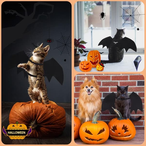 (S) Cat Bat Wings, Cat Halloween Costume with Pumpkin Bell, Adjustable
