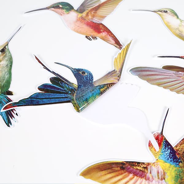 6 Stora Flygande Kolibri Väggdekaler för Sovrum Vardagsrum