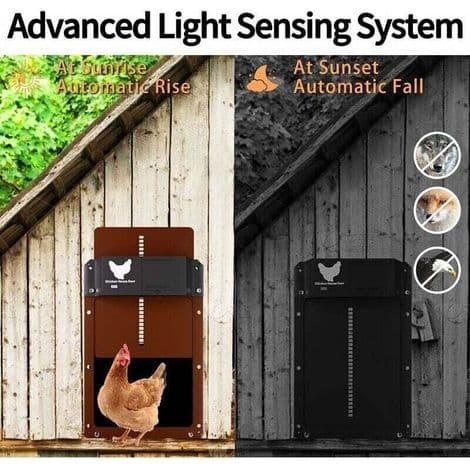 Automatisk hönshusdörr 35x24 cm ABS IPX4 med motor och optisk sensor