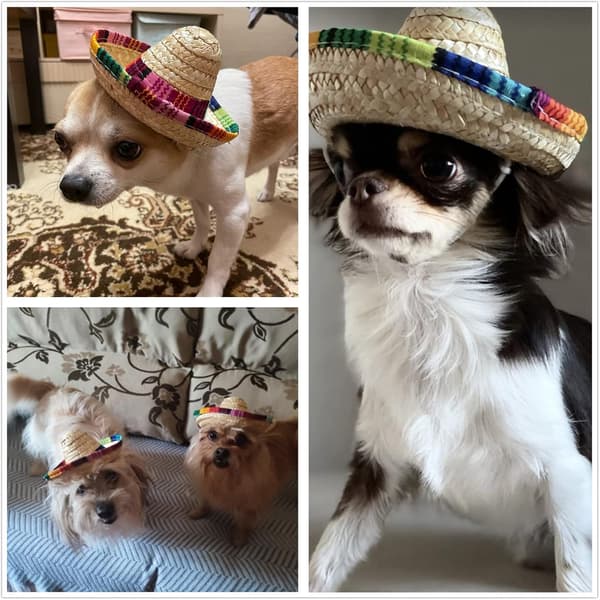 8 stk Mini Sombrero-festhatter 5,9 tommer halmmateriale for bord, dukker, hunder
