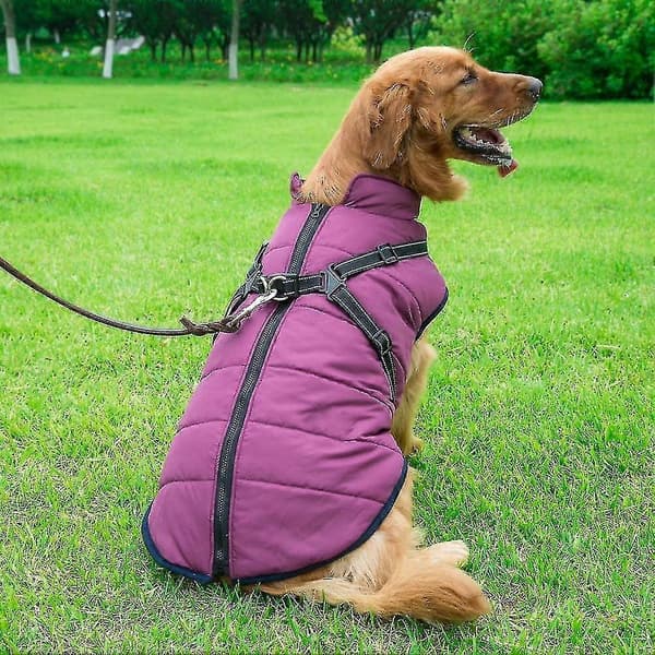 Hundsele Vinter Varm Hundjacka Tjock Vadderad Bekväm Heilwiytable Bomull Vinter Hundpresent