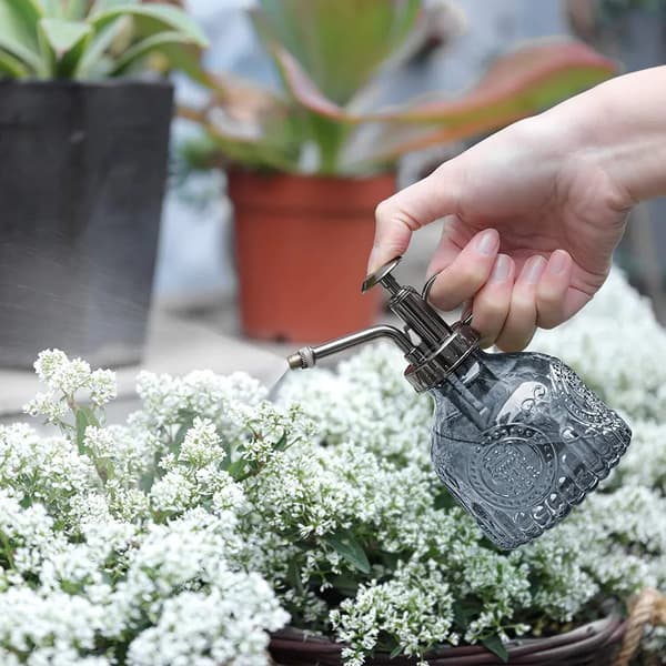 Dekorativ vandkande med pumpe, blomstersprøjte