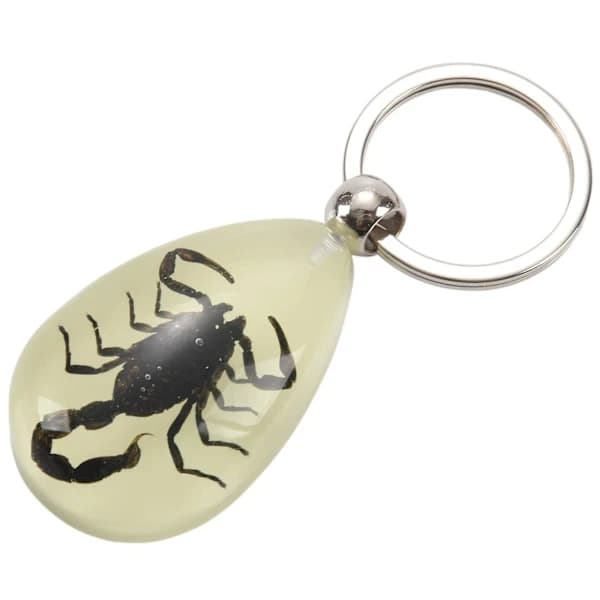 2x Luminous Keychain with Real Insect (Black Scorpion)