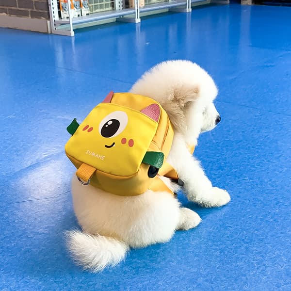 Husdjursbärväska Mini Väska Liten Hundsele Väska Liten Hund Komposit