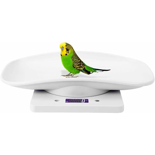 10kg/1g Digital Scale for Small Animals, Measures Precisely for Cats and Dogs, Electronic Kitchen Scale for Pets -{hh]