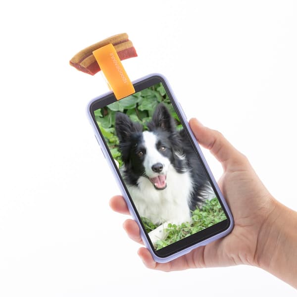 Lemmikkien selfie-pidike Pefie InnovaGoods