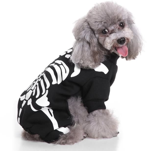 Hundedragt Skelet Halloweenkostume til hunde Åndbart mesh Størrelse XL 8-20 kg