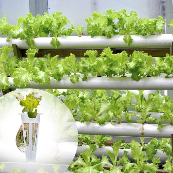 12 Vita Hydroponiske Netpotter, 12-pak Erstatningsdyrkningskurve til Planter, Kompatible med Hydroponiske Systemer