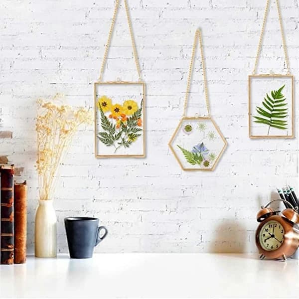 3-pack Pressed Flower Glass Frames - Hanging Glass Frames with Chain Floating DIY Artwork Display Golden Transparent