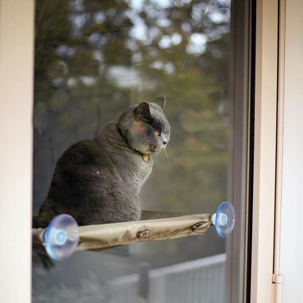 Cat Hammock with Suction Cups - Hammock for Cats