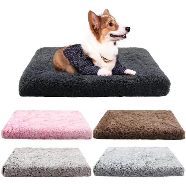 Medium Dog Bed 50x40cm Dark Grey – Washable with Removable Cover, Super Soft Waterproof Basket Bed, Non-Slip Bottom