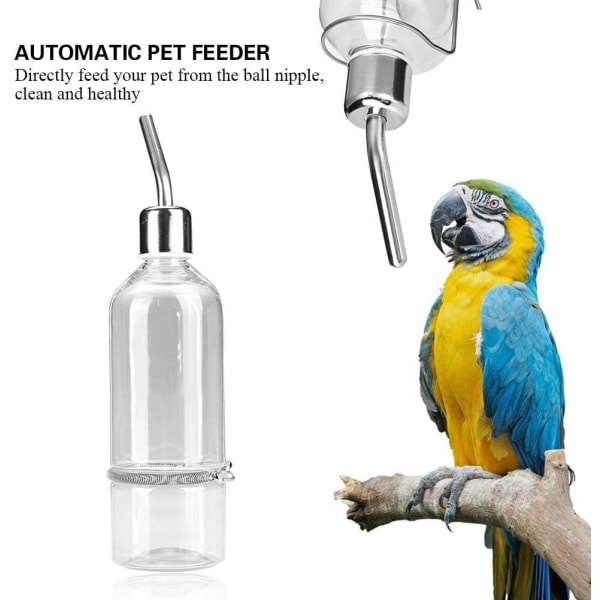 Parrot Waterer, Parrot Water Dispenser Parrot Water Dispenser H