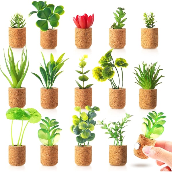 Kunstig sukkulentplante Kjøleskapsmagneter - Potted Succulent Pla