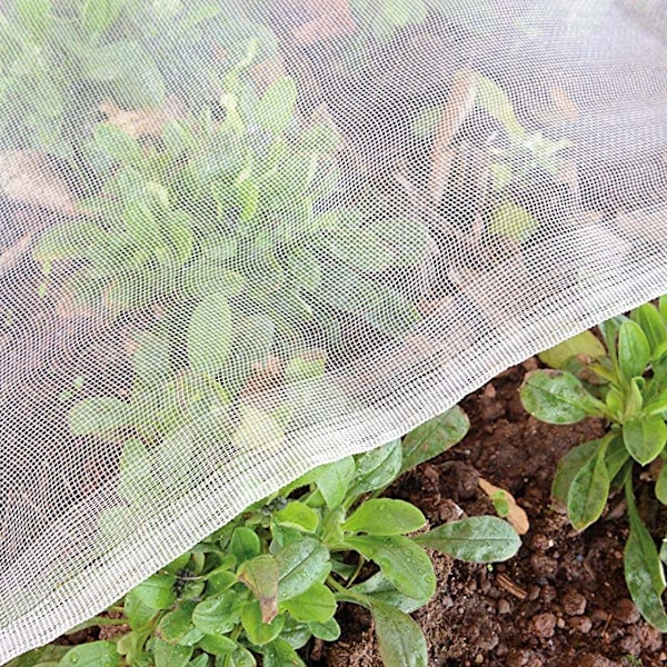 Puutarhahyönteisverkko hieno verkko: 2*3m hopea, vihannesverkko