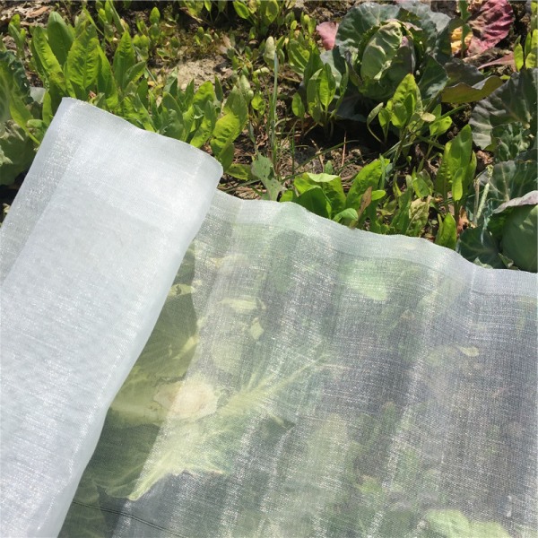 1 Trädgårdsgrönsak Anti-Insektsnät: 3 x 5 m Mesh
