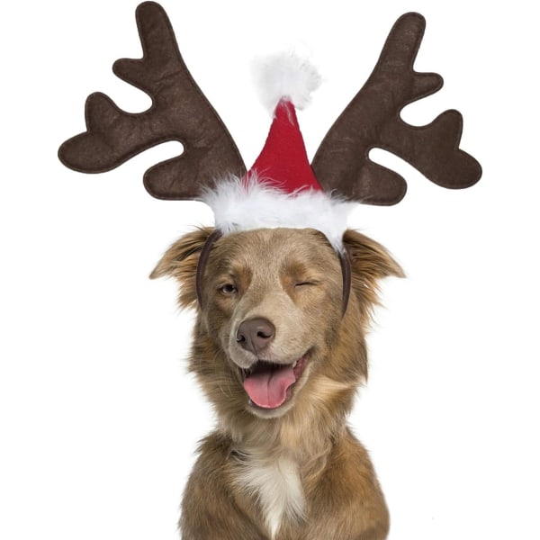 Hund Jul Rensdyr Gevir Pandebånd Klassisk Elk Hat Hovedbeklædning