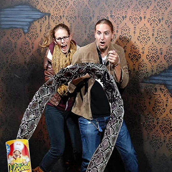 Chip Snake Kan Hoppa Spring Snake Leksak-B